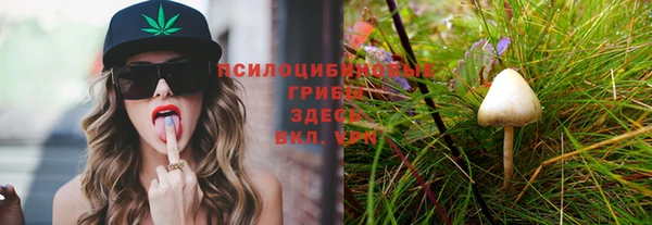 ПСИЛОЦИБИНОВЫЕ ГРИБЫ Касимов