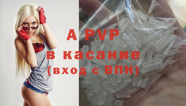 ПСИЛОЦИБИНОВЫЕ ГРИБЫ Касимов