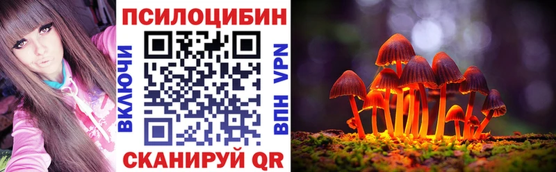 Псилоцибиновые грибы Cubensis  Купить закладки  Гаджиево 
