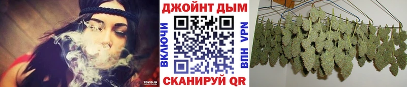 Каннабис планчик Купить Гаджиево